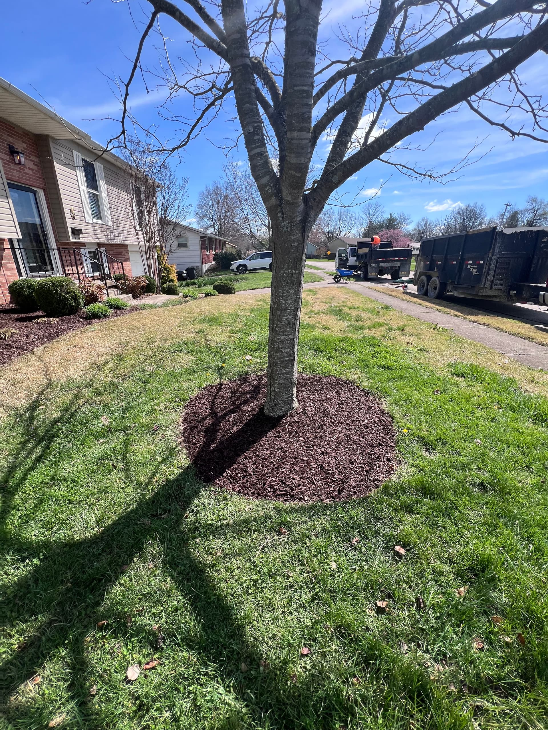 Revamp Your Home's Curb Appeal with Fresh Mulch in Frankfort