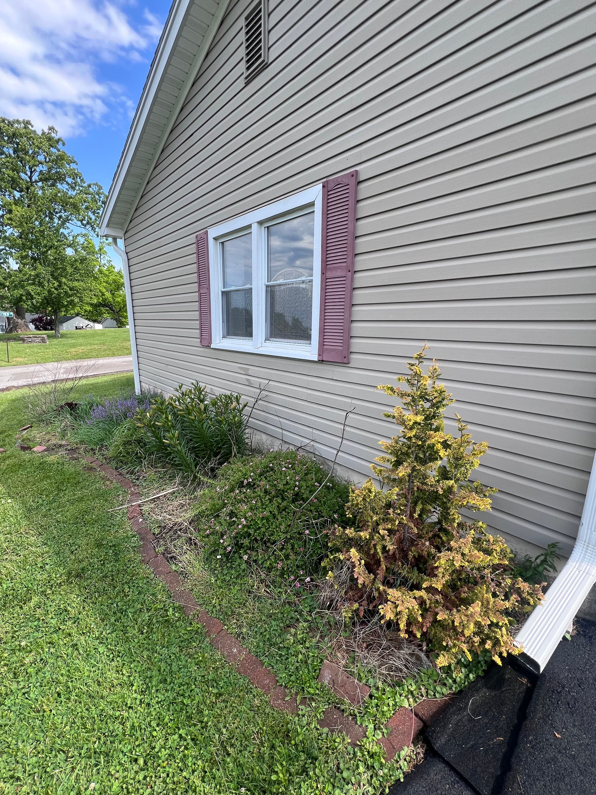 Gallery photos for Landscape Cleanup and Fresh Mulch in Frankfort: Image #6