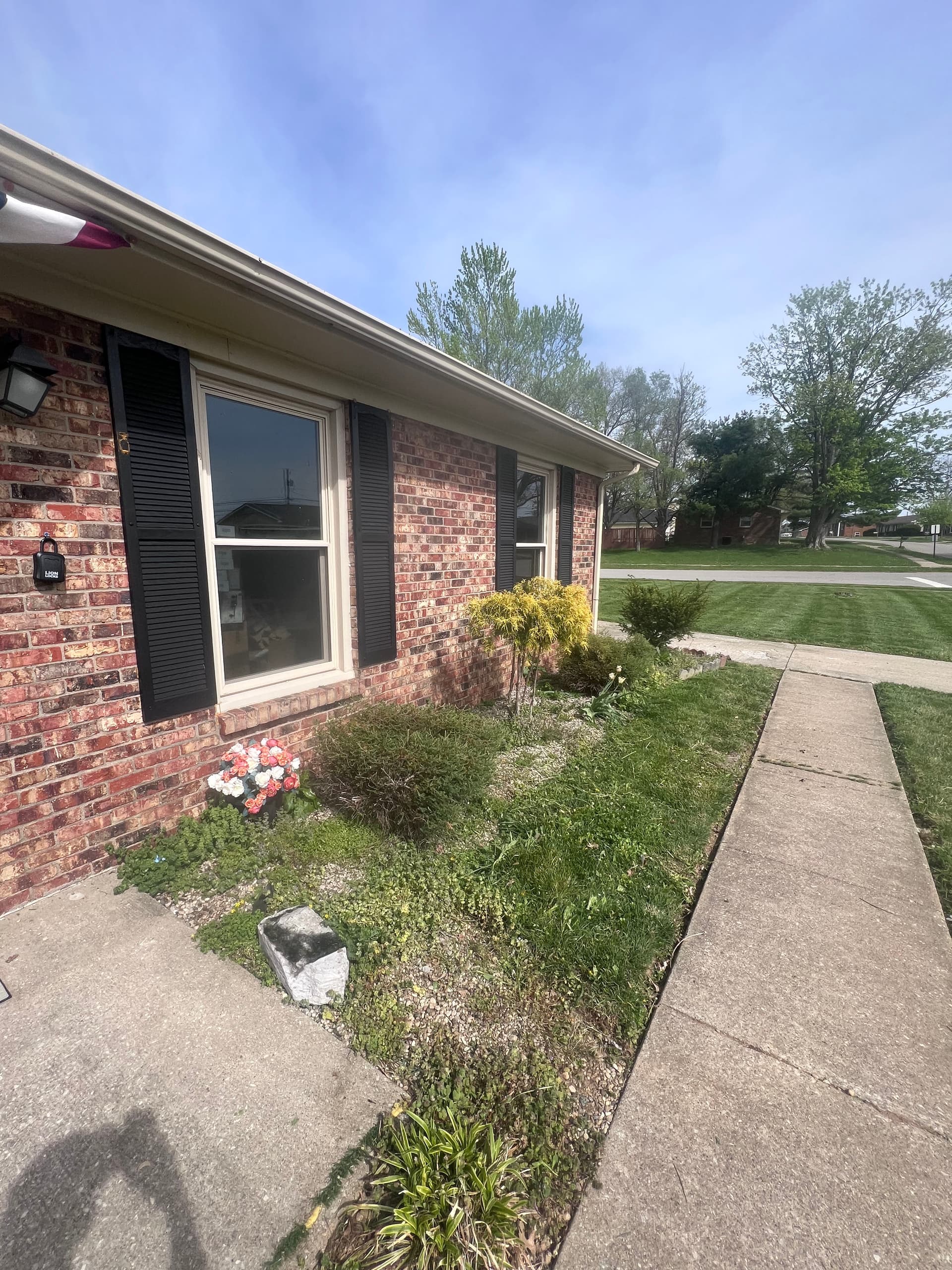 Front Yard Landscape Refresh with New Mulch and Natural Edge image