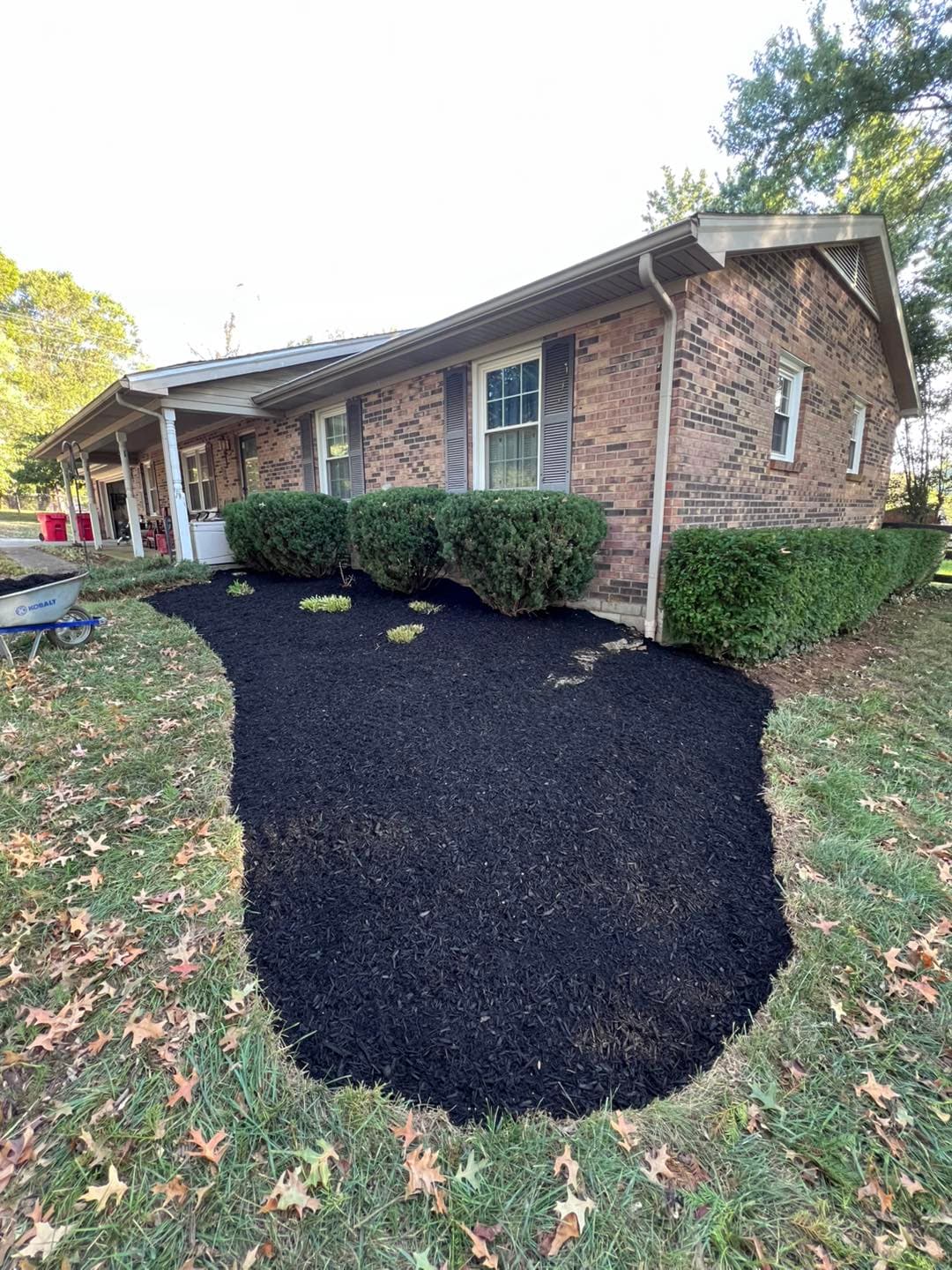 Updated landscaped yard featuring fresh black mulch, hedges, and a brick home exterior.