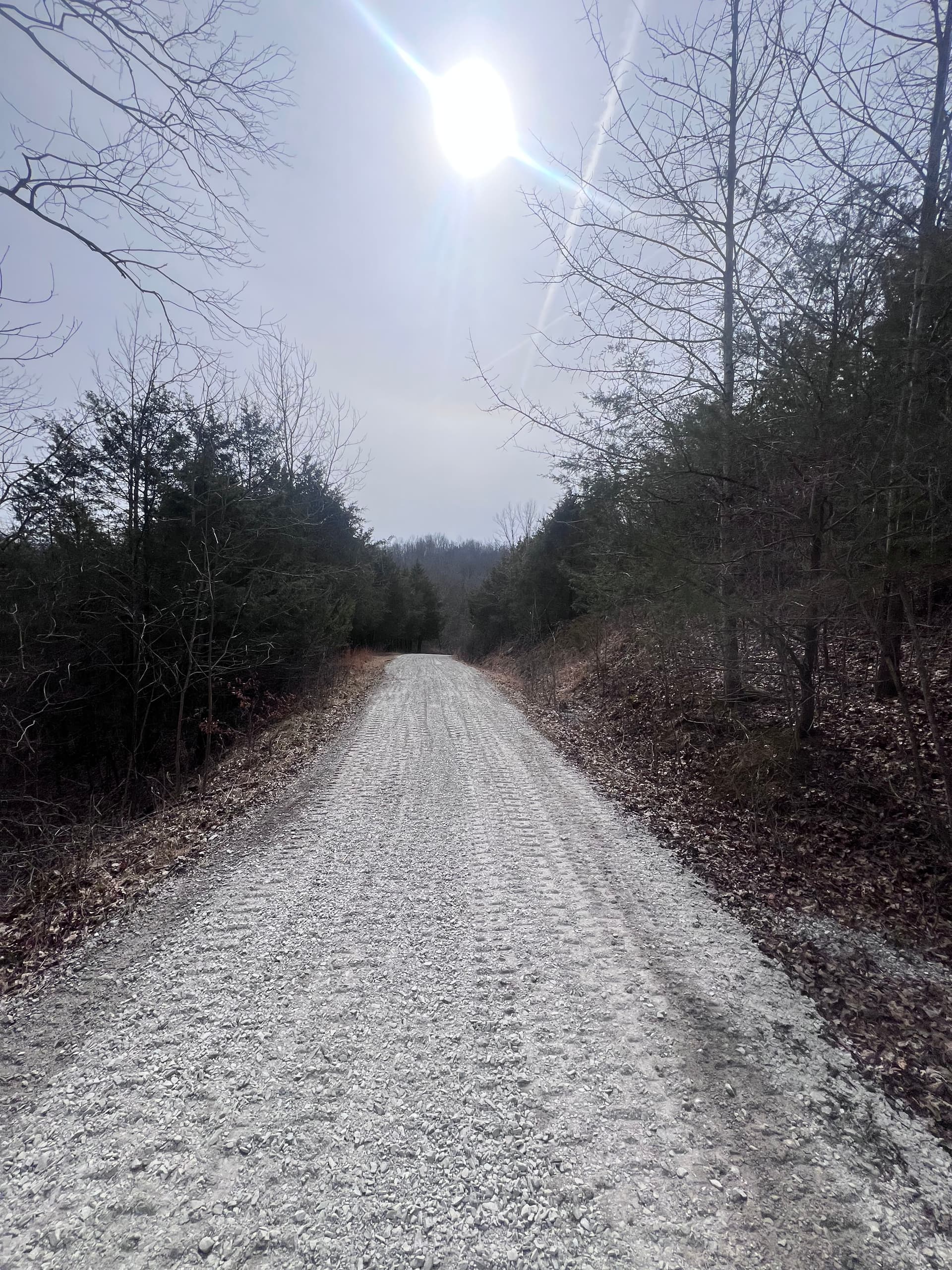 Crafting the Perfect Gravel Driveway in Frankfort, KY