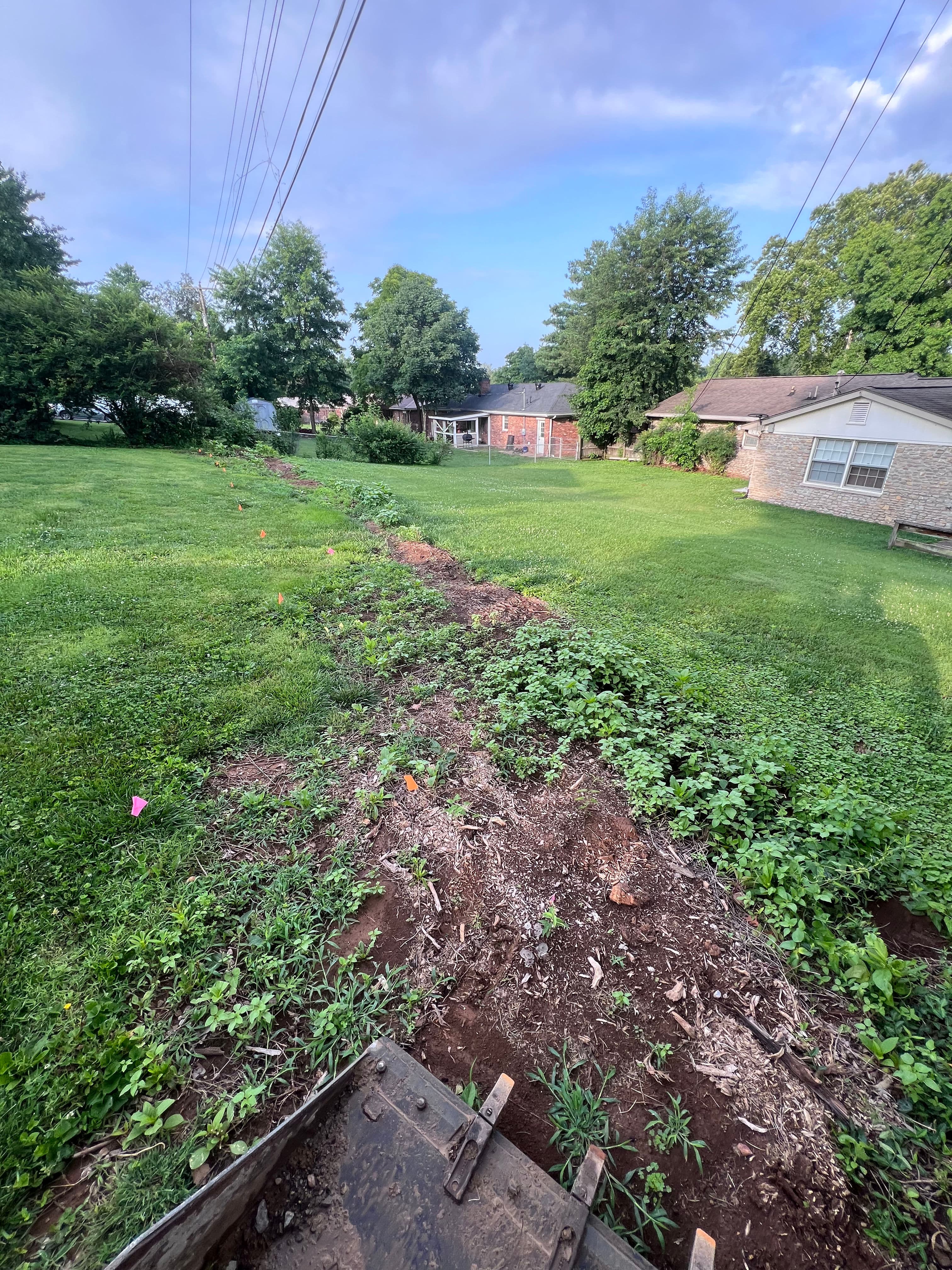 Project Backyard Cleanup with Fence, Timber Edging, and Fresh Tree Plantings image