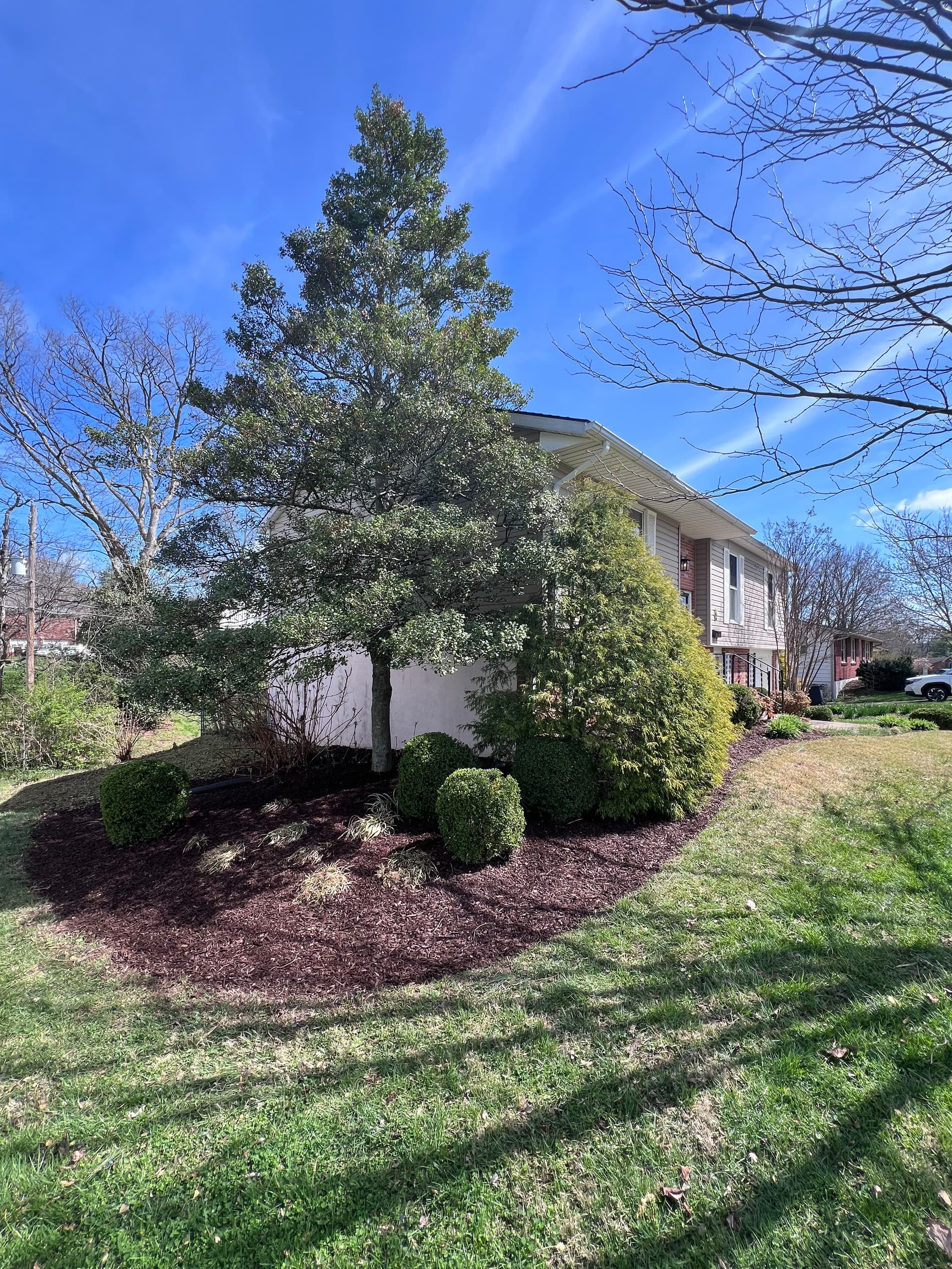 Revamp Your Home's Curb Appeal with Fresh Mulch in Frankfort