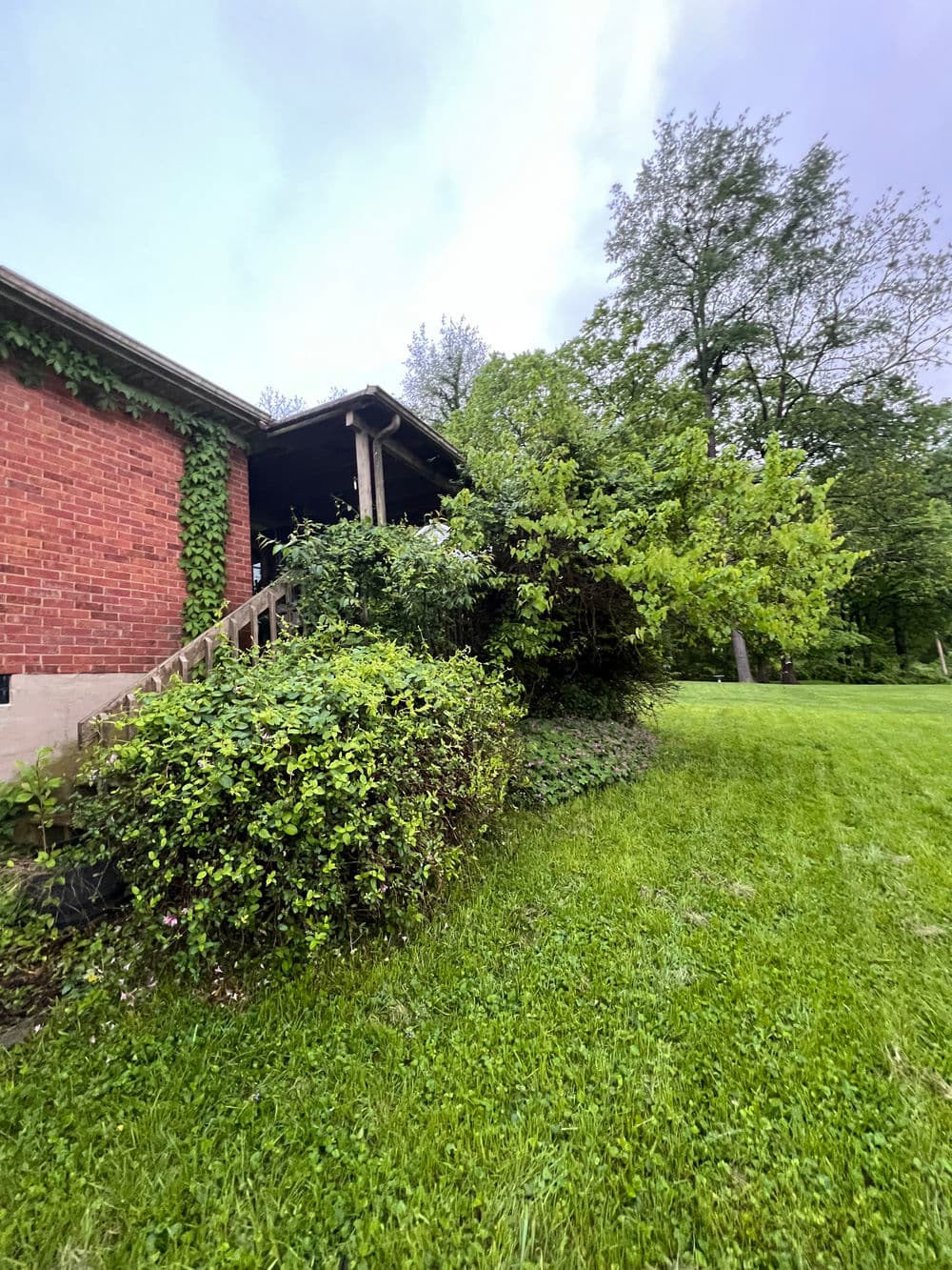 Brick house with green vines, surrounded by lush grass and trees, under a clear sky.