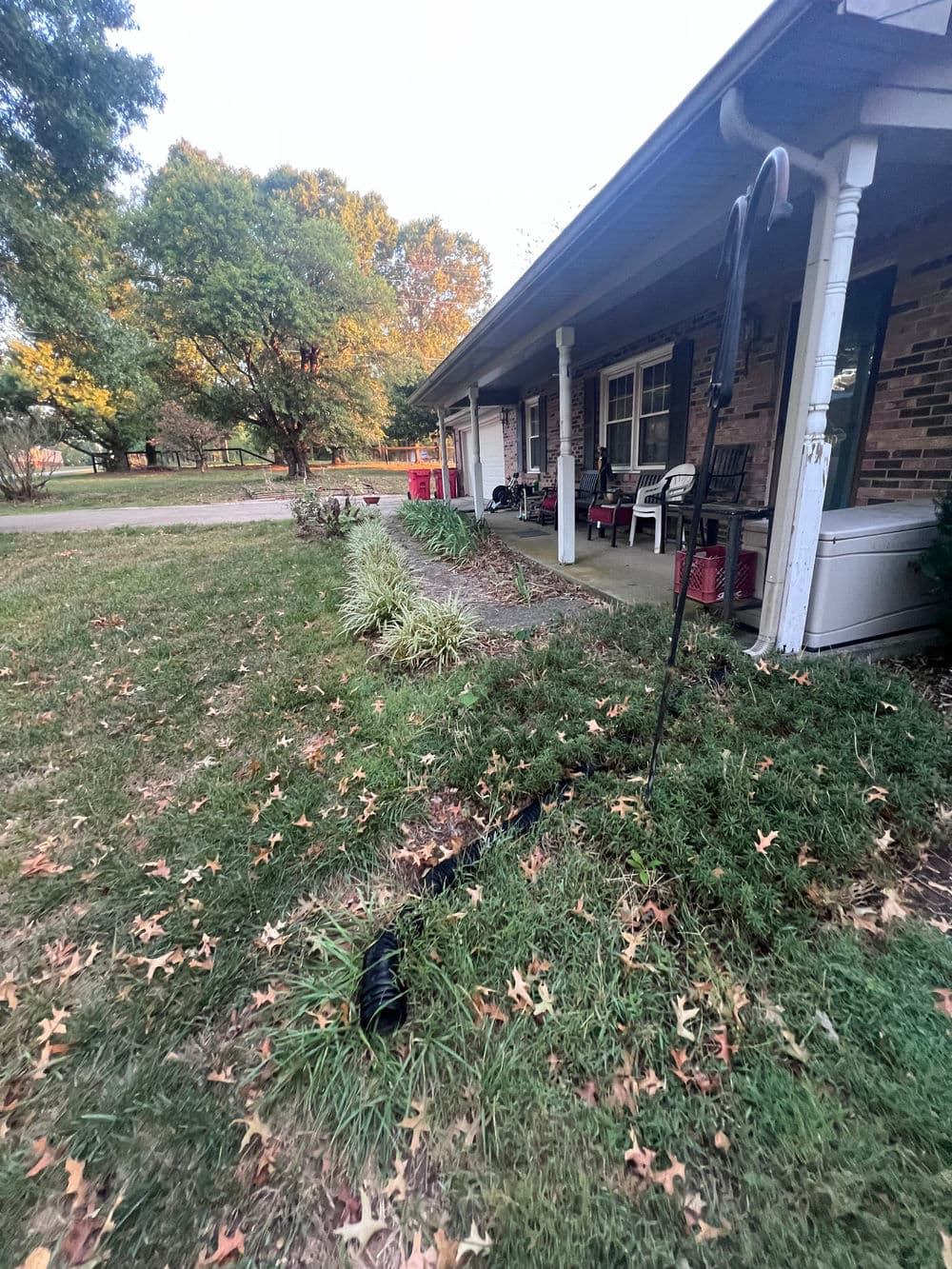 Lawn with garden hose and autumn leaves near a porch in a suburban setting.