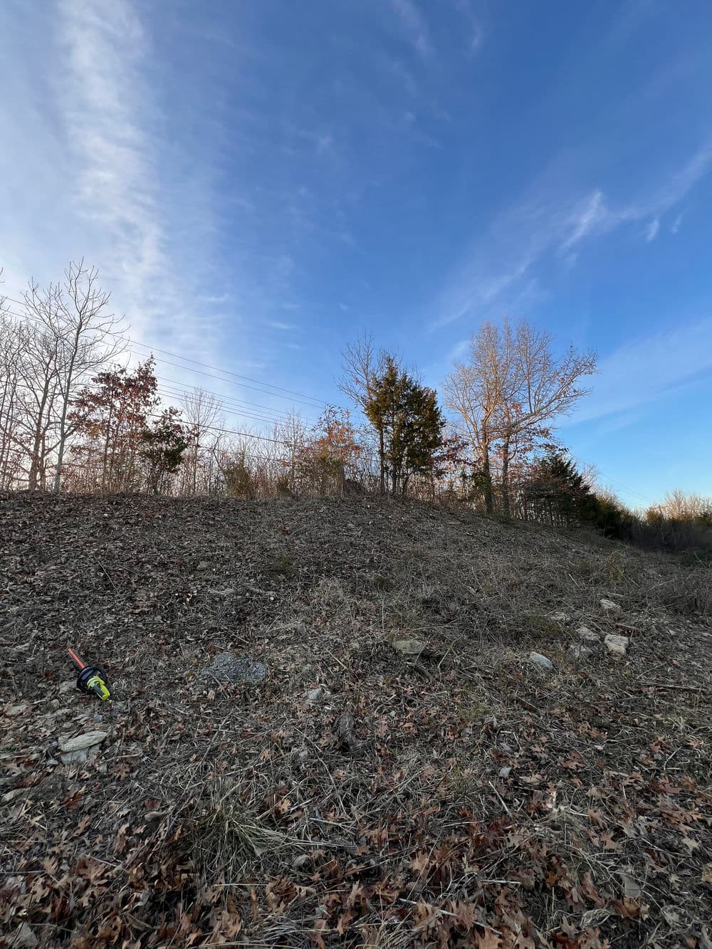 Hilly landscape with sparse trees and blue sky, showcasing winter scenery and dry vegetation.