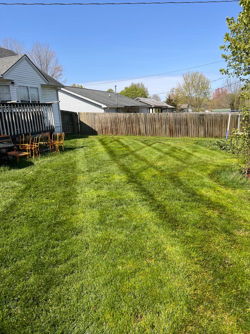 Lush green backyard with neatly mowed grass and sunny blue sky. Perfect for outdoor activities.