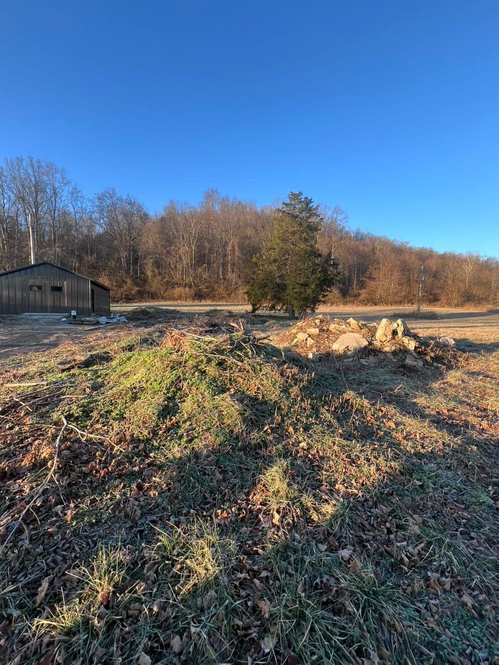 Full Property Cleanup and Grading in Georgetown KY