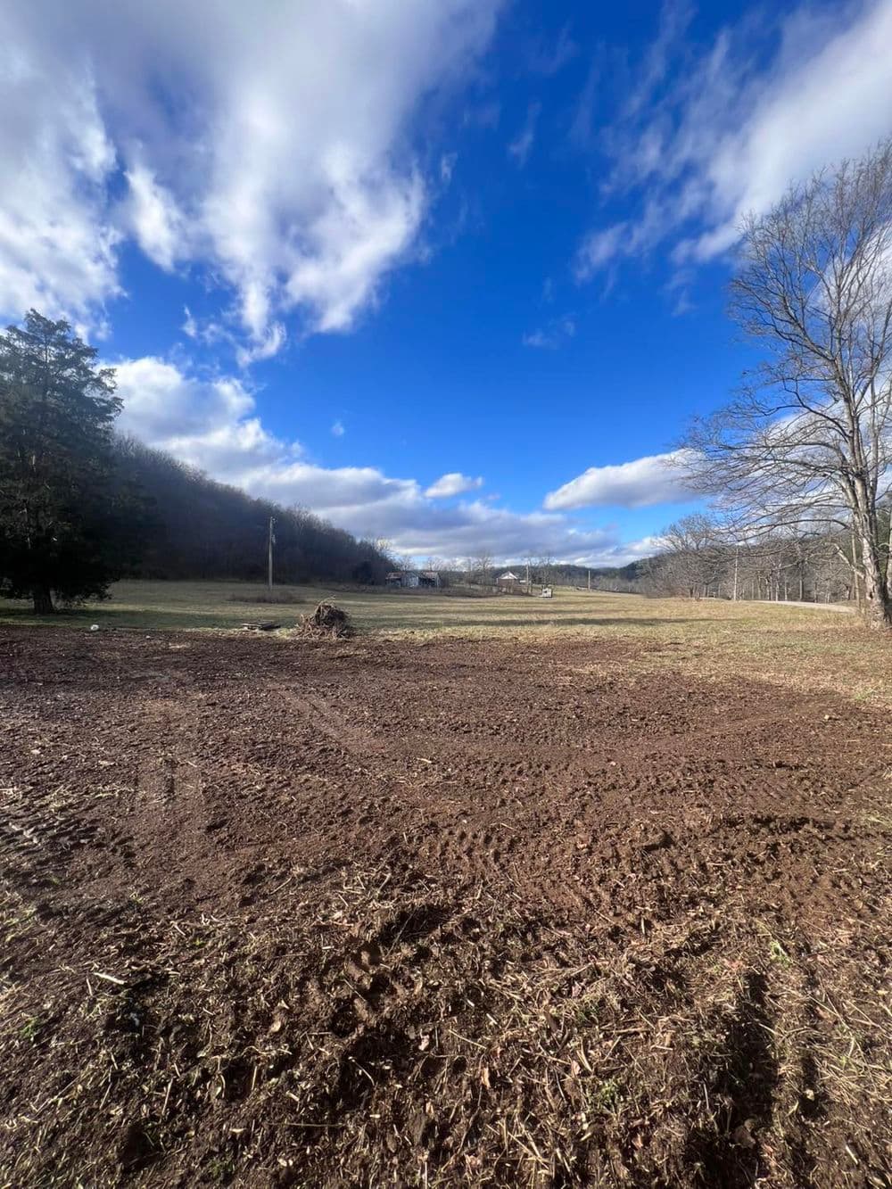 Full Property Cleanup and Grading in Georgetown KY