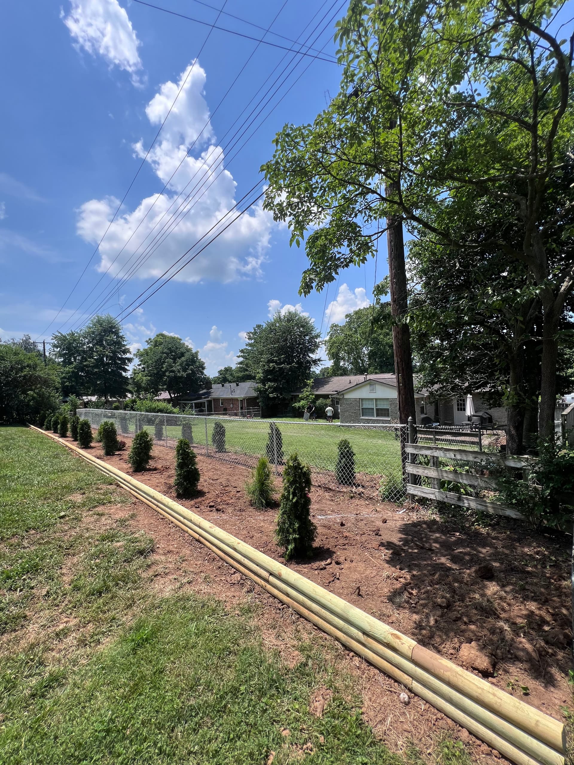 Gallery photos for Backyard Cleanup with Fence, Timber Edging, and Fresh Tree Plantings: Image #1