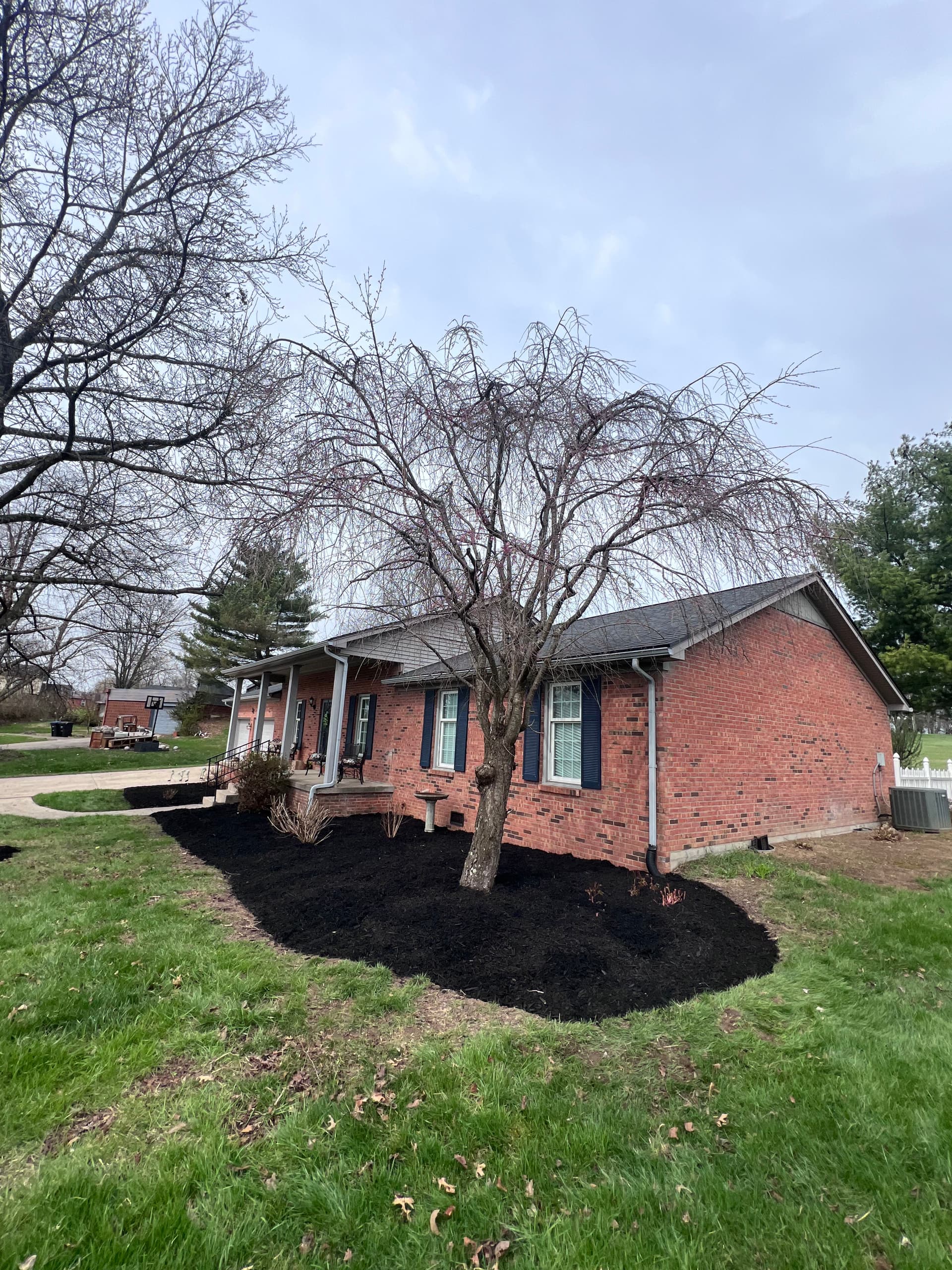 Gallery photos for Mulching Transformation in Frankfort KY: Image #1