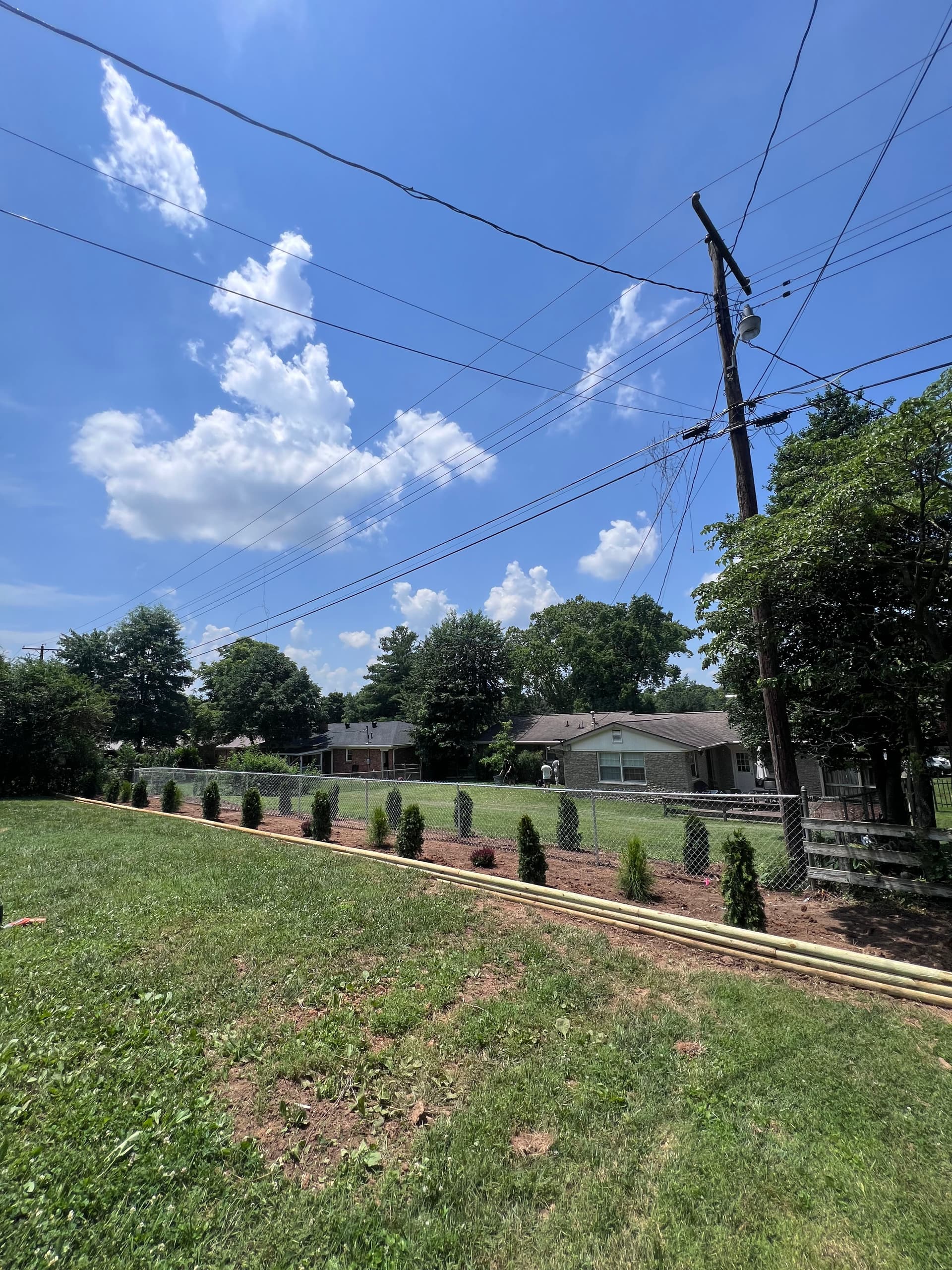 Gallery photos for Backyard Cleanup with Fence, Timber Edging, and Fresh Tree Plantings: Image #2